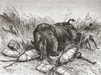 Ein Nashorn greift eine Expedition an, aus 